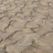 Three dimensional bedforms in the South Saskatchewan River, Canada