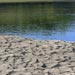 Bedforms migrating towards a bar front, South Saskatchewan River, Canada