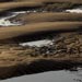 Dunes along the margin of an exposed bar, Columbia River, USA