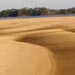 Dunes along a bar margin, Paran&aacute; River, Argentina
