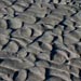 Multi-directional bedforms produced by changing flow conditions in the tidal Columbia River, USA