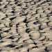 Bedforms exposed by falling stage in the South Saskatchewan River, Canada